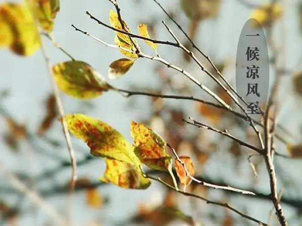 银河app手机版下载APP下载-银河app手机版下载2026最新版